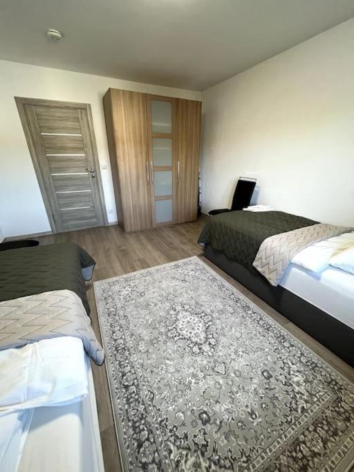 Familienwohnung Naehe Europapark, Messe, Gifiz See Offenburg Bagian luar foto
